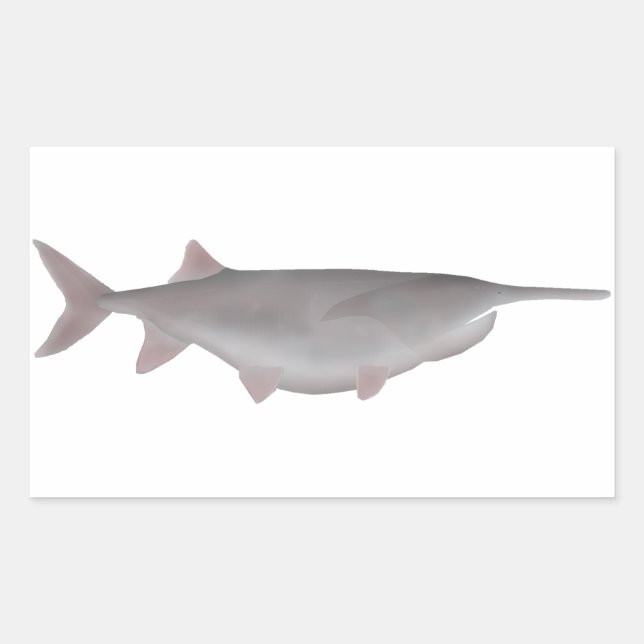 American Paddlefish Sticker (Front)