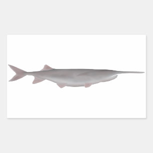 American Paddlefish Sticker