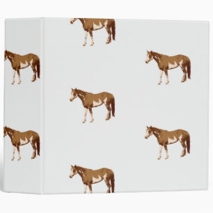 American Paint Horse Equestrian Watercolor Binder
