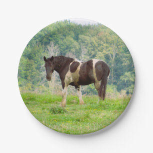 American Painted Horse in a Field  Paper Plate