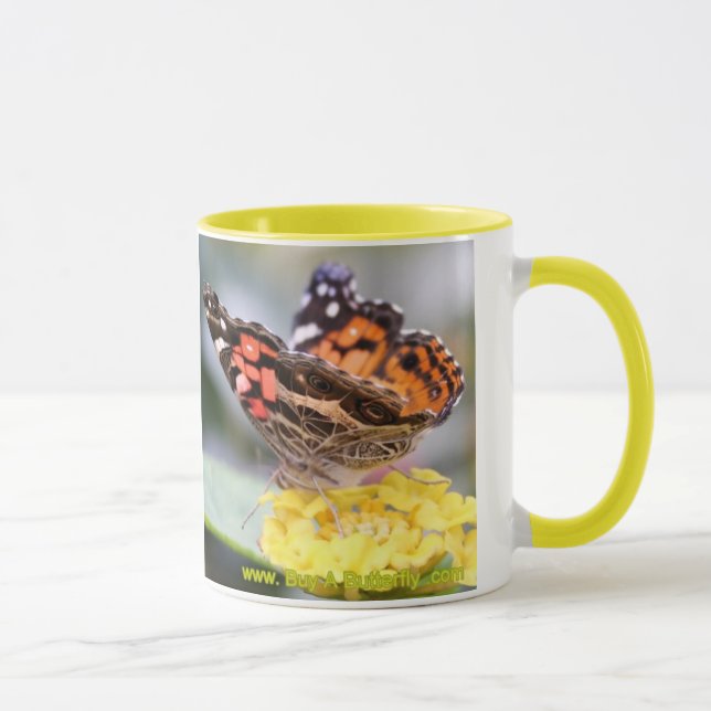 American Painted Lady Butterfly Lifecycle Coffee M Mug (Right)