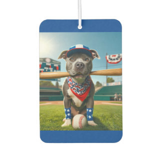 American Past Time Car Freshener