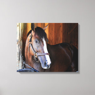 American Patriot Canvas Print