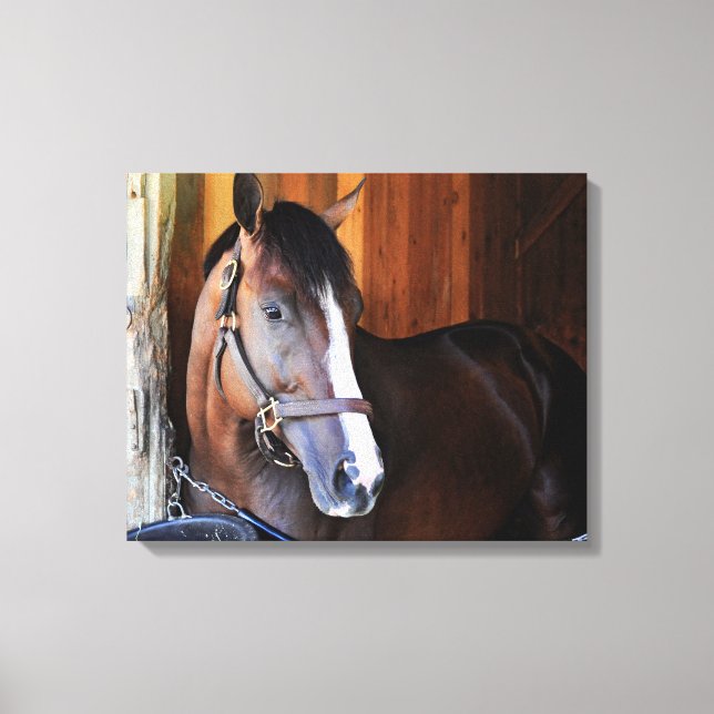 American Patriot Canvas Print (Front)