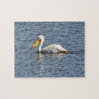 American Pelican Jigsaw Puzzle