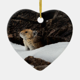American Pika in the Snow with Heart-Shaped Cerami Ceramic Ornament