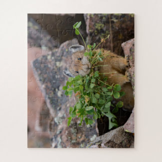 American pika Jigsaw Puzzle 