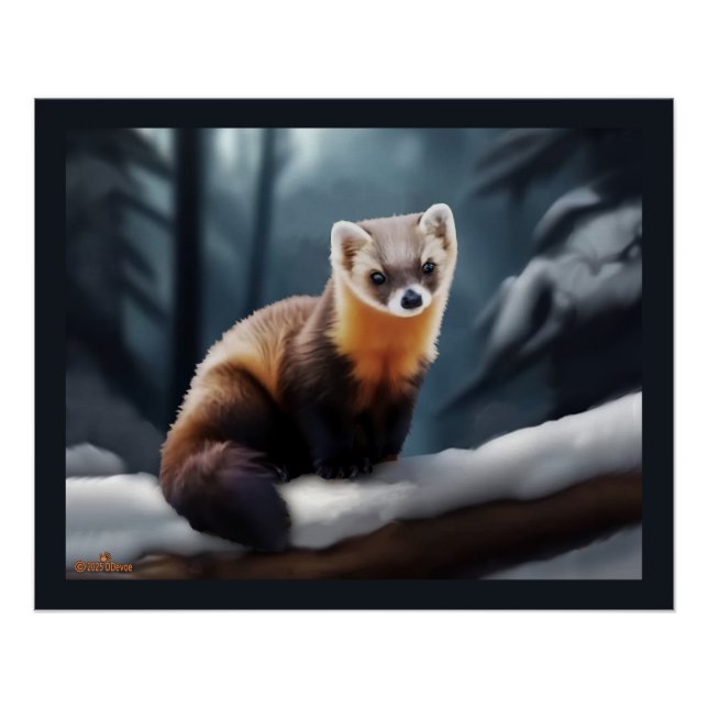 American Pine Marten Poster (Front)