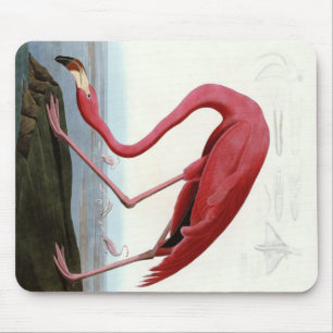American Pink Flamingo Gift Lover Sketch Flamingo Mouse Pad