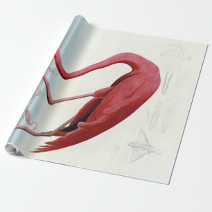 American Pink Flamingo Gift Lover  Sketch Flamingo Wrapping Paper