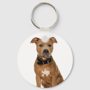 American Pit Bull Keychain