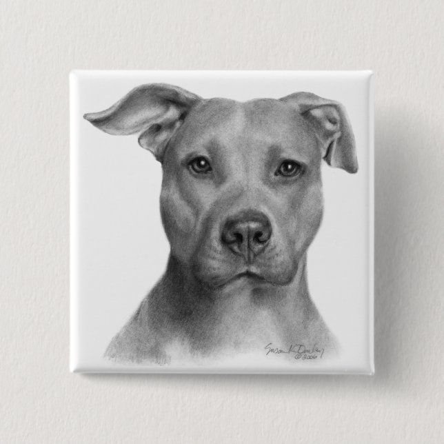 American Pit Bull Terrier 2 Inch Square Button (Front)