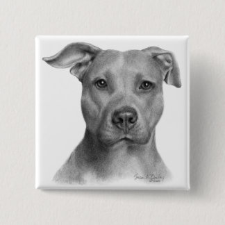 American Pit Bull Terrier 2 Inch Square Button