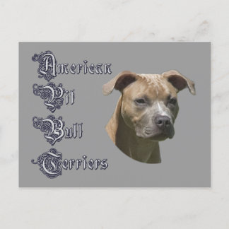 American Pit Bull Terrier (APBT) Postcard