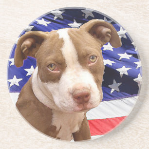 American Pitbull puppy Coaster
