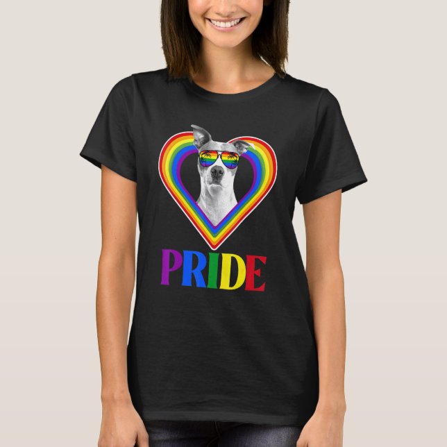 American Pitbull Rainbow Pride T-Shirt (Front)