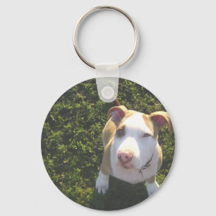 american PitBull terrier Looking Up Keychain