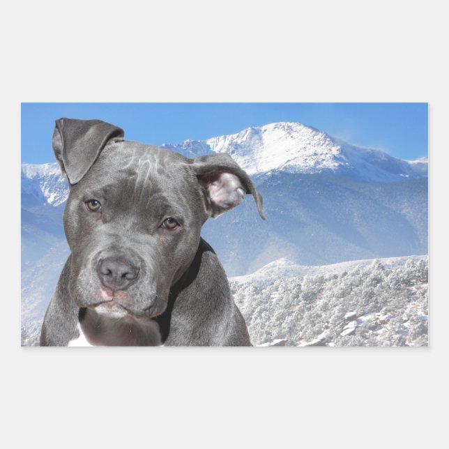 American Pitbull Terrier Puppy Dog Sticker (Front)