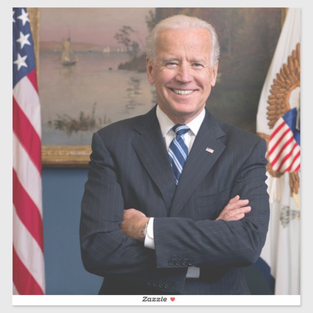 American President Joe Biden as Senator (Sheet)