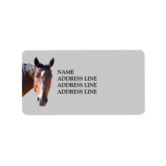 American Quarter Horse - Western Return Address