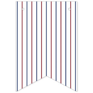 American Red and Blue Pinstripe Bunting Banner