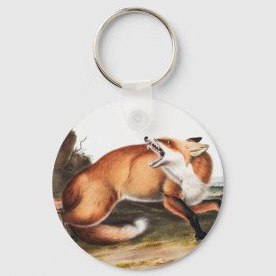 American Red Fox (Vulpes Fulvus) Illustration Keychain