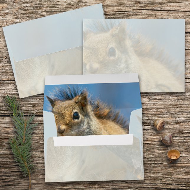 American Red Squirrel Envelope (Creator Uploaded)