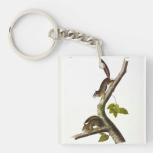 American Red Squirrel (Richardson's Columbian) Keychain