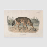 American Red Texan Wolf (Canis lupus) Decoupage