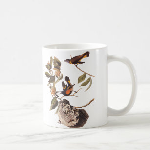 American Redstart Audubon Bird Classic Mug