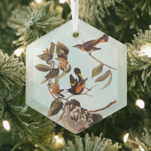 American Redstart Audubon Birds and Wasp Nest Glass Ornament