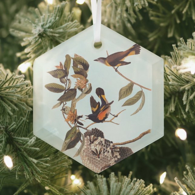 American Redstart Audubon Birds and Wasp Nest Glass Ornament (Insitu)