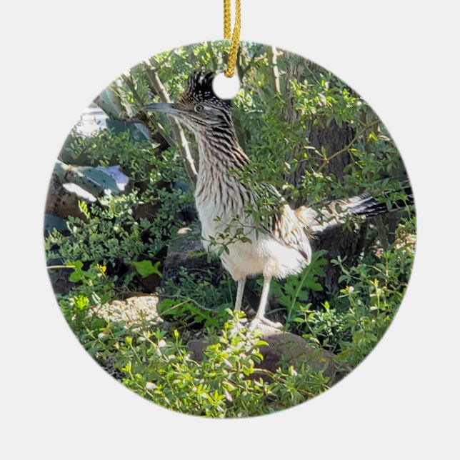 American Roadrunner in the Arizona Desert Ceramic Ornament (Front)