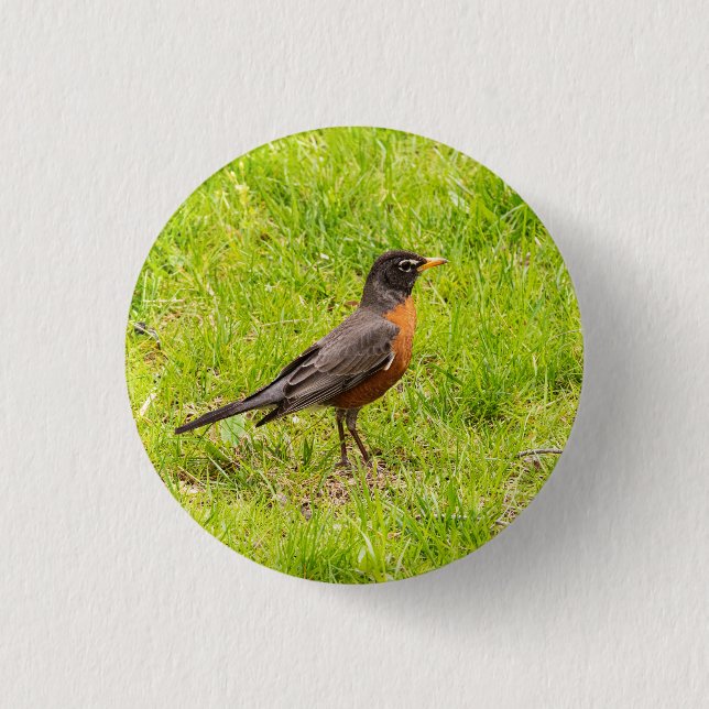 American Robin 1 Inch Round Button (Front)