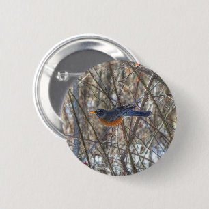 American Robin 2 Inch Round Button