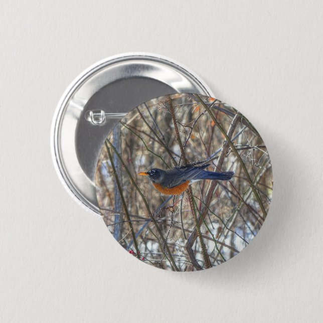 American Robin 2 Inch Round Button (Front & Back)