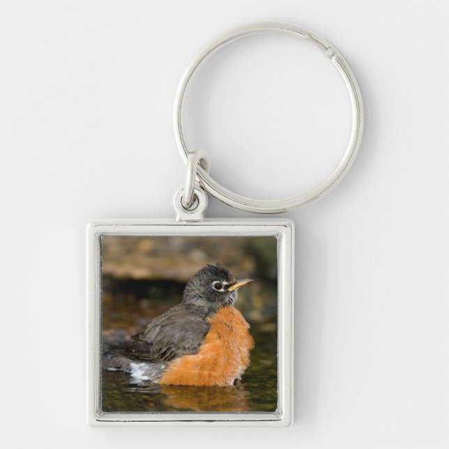American Robin bathing 2 Keychain (Front)