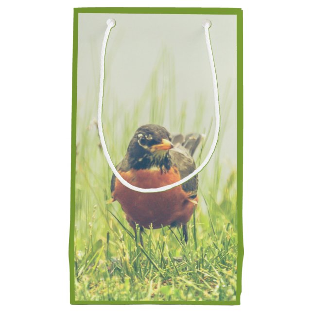American Robin Bird Green Small Gift Bag (Front)