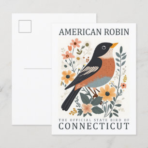 American Robin Bird of Connecticut USA Travel Postcard