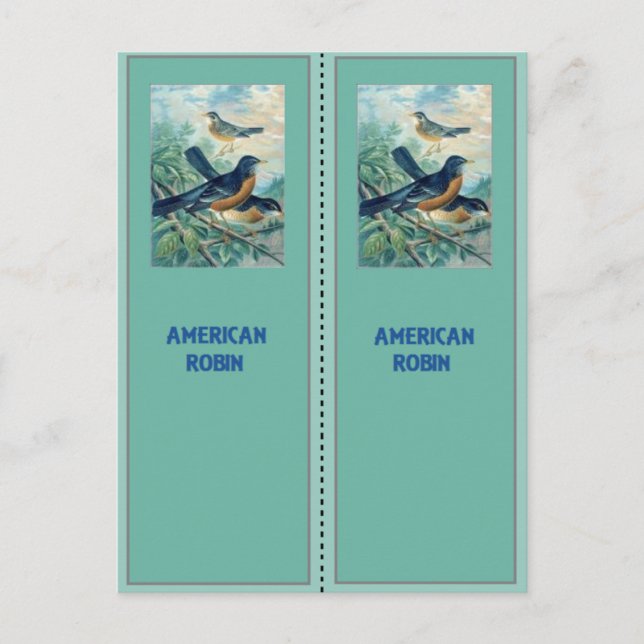 American Robin Bookmarks Postcard (Front)