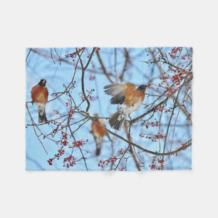 American robin fleece blanket