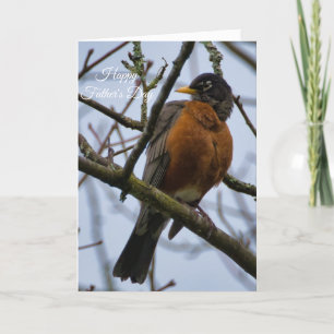  American Robin Happy Father's Day Card