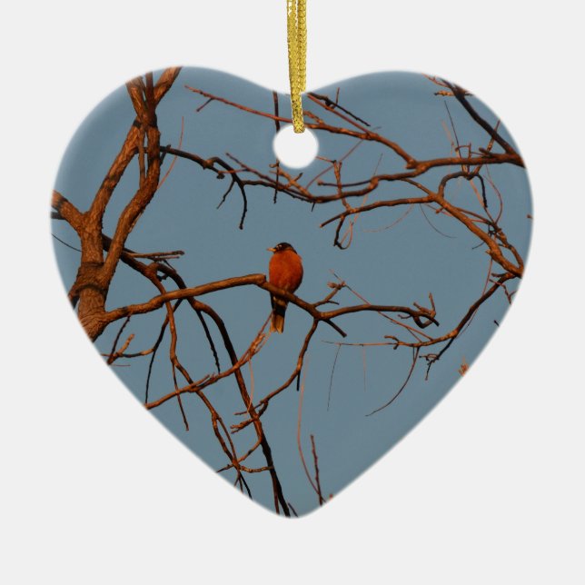 American Robin home to roost Ceramic Ornament (Front)