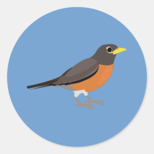 American Robin Illustration Classic Round Sticker
