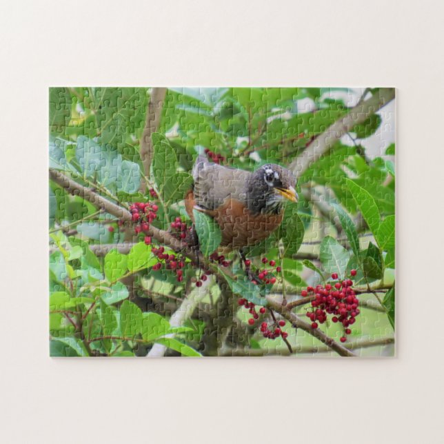 American Robin - Jardin Bird Series - Puzzle (Horizontal)