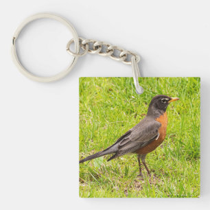 American Robin Keychain