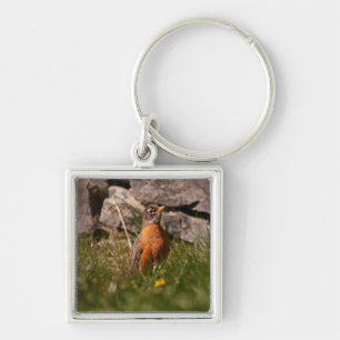 American Robin Keychain