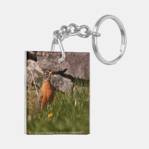 American Robin Keychain