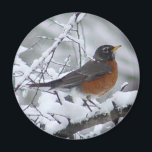 American Robin Magnet<br><div class="desc">This magnet feature a pretty American Robin in the snow. I was happy to have the opportunity to photograph this beautiful Robin bird scene on a cold snowy February day. A nice gift idea for bird lovers.</div>