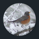 American Robin Magnet<br><div class="desc">This magnet feature a pretty American Robin in the snow. I was happy to have the opportunity to photograph this beautiful Robin bird scene on a cold snowy February day. A nice gift idea for bird lovers.</div>